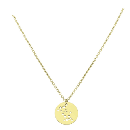 Celebrytka zodiak Bliźnięta 42+5 CM S. STEEL 316L