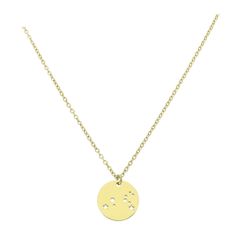 Celebrytka zodiak Lew 42+5 CM S. STEEL 316L